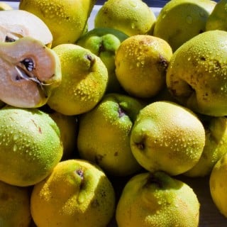 Washed Quinces