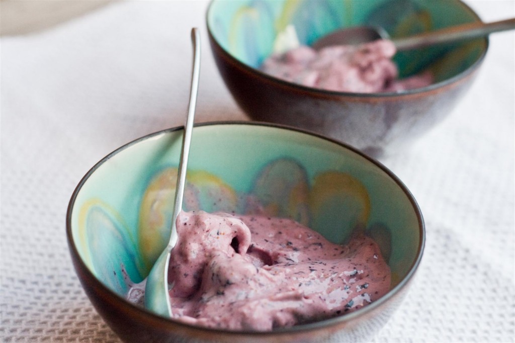 Instant Blueberry Ice-Cream