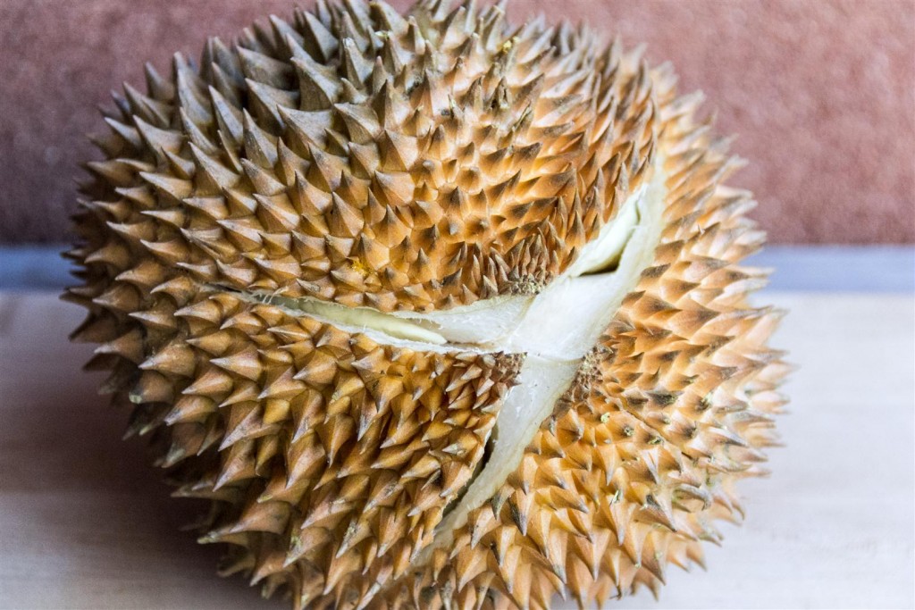 The whole durian