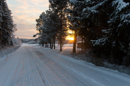 Swedish Countryside - The setting sun