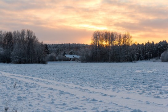 Swedish Countryside - Sun setting across the fields