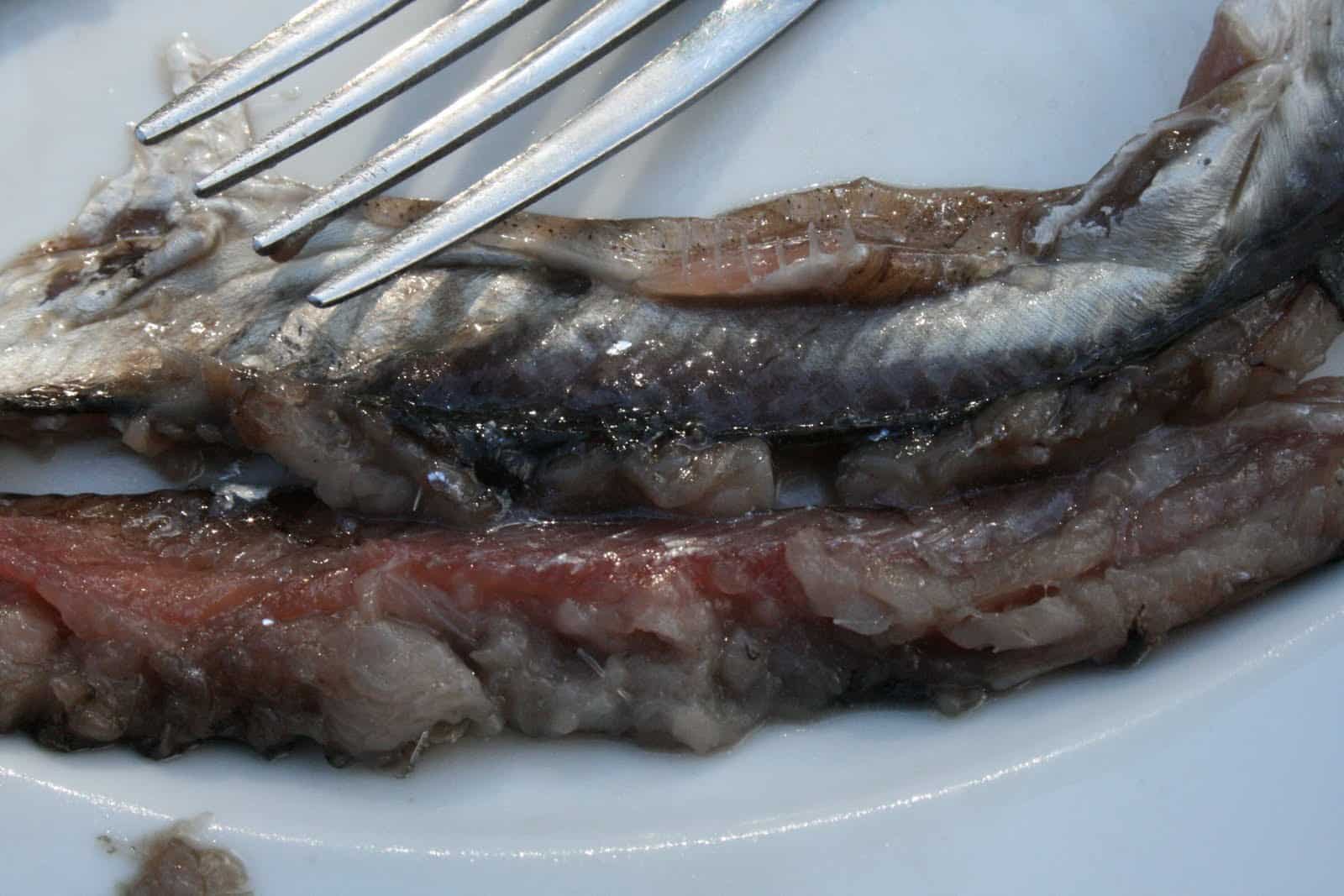 Curious Dishes: Surströmming - why do people eat rotten Herring?
